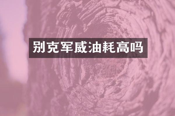 别克军威油耗高吗