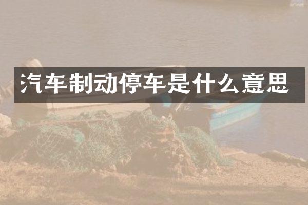 汽车制动停车是什么意思