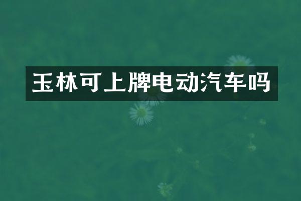 玉林可上牌电动汽车吗
