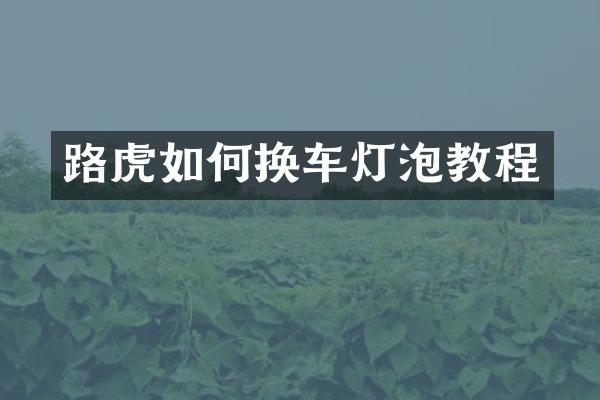 路虎如何换车灯泡教程