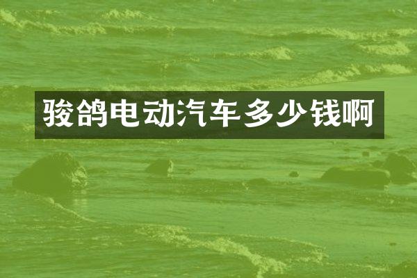 骏鸽电动汽车多少钱啊