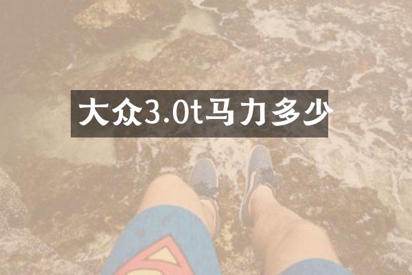 大众3.0t马力多少