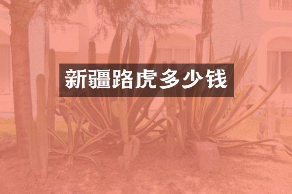 新疆路虎多少钱