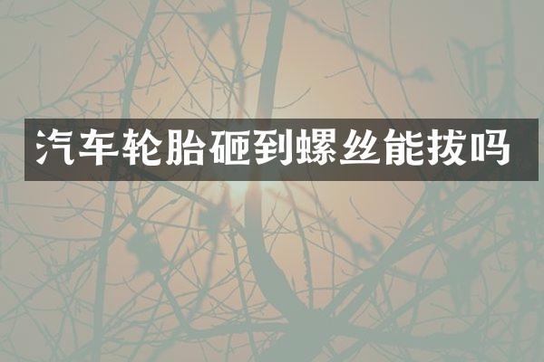 汽车轮胎砸到螺丝能拔吗