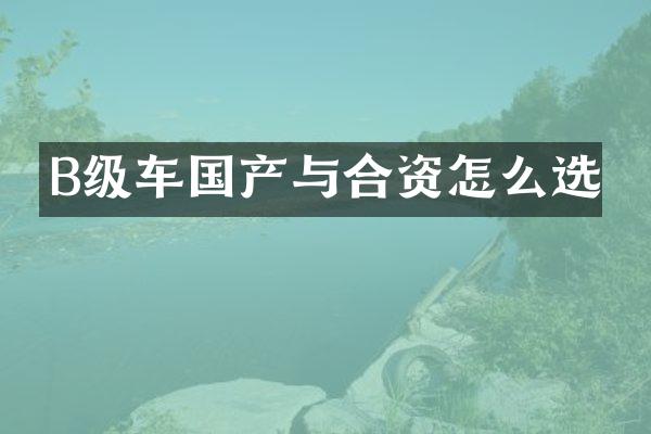 B级车国产与合资怎么选