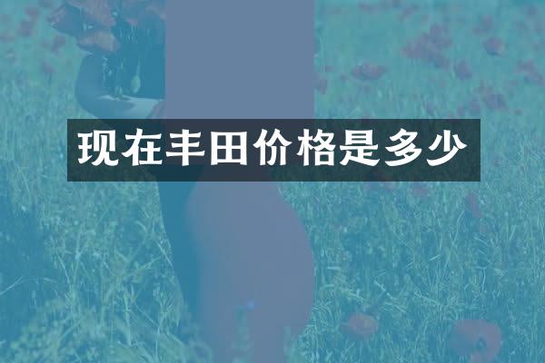 现在丰田价格是多少