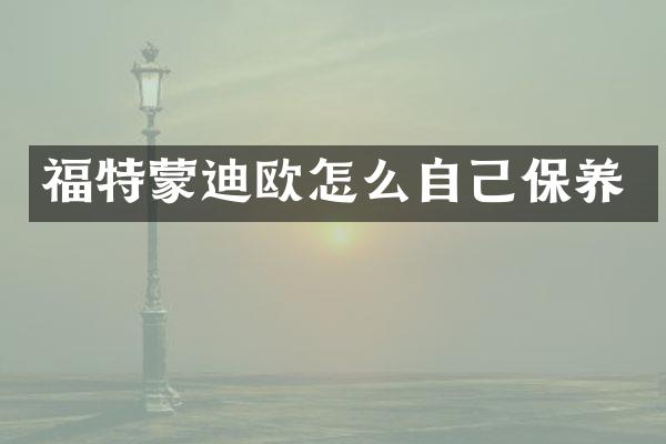 福特蒙迪欧怎么自己保养