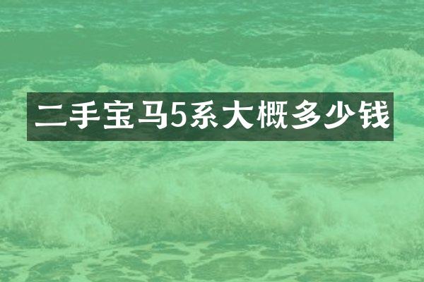 二手宝马5系大概多少钱