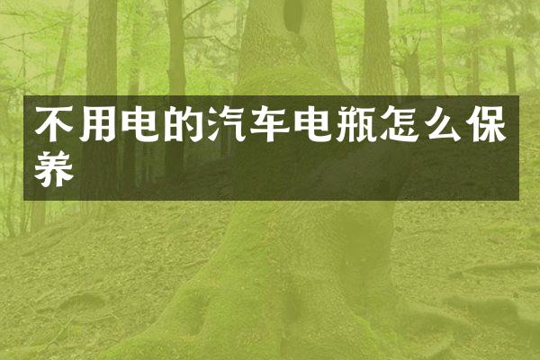 不用电的汽车电瓶怎么保养