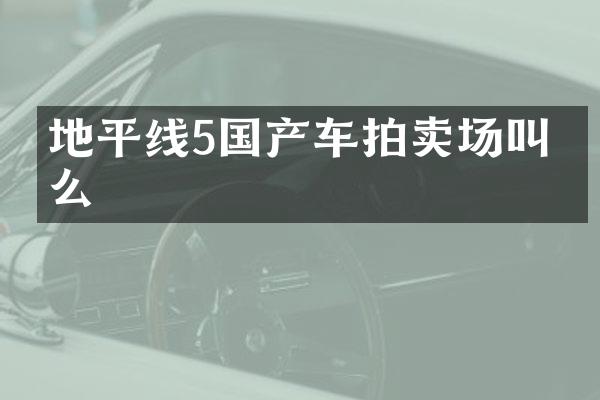 地平线5国产车拍卖场叫什么