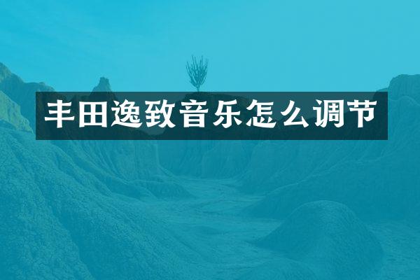 丰田逸致音乐怎么调节