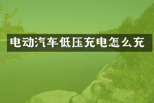 电动汽车低压充电怎么充