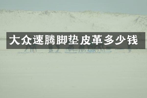 大众速腾脚垫皮革多少钱
