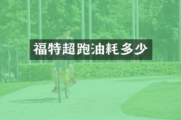 福特超跑油耗多少