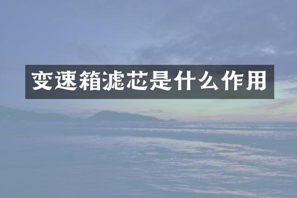 变速箱滤芯是什么作用