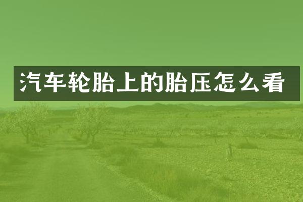 汽车轮胎上的胎压怎么看