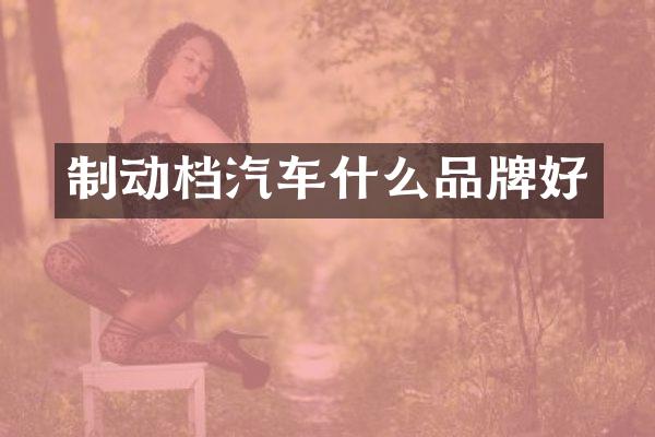 制动档汽车什么品牌好