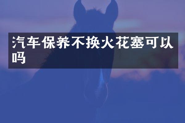 汽车保养不换火花塞可以吗