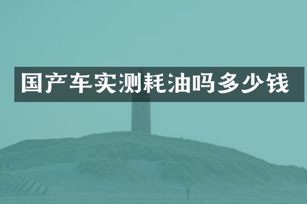 国产车实测耗油吗多少钱