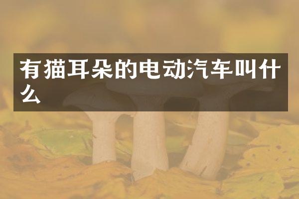 有猫耳朵的电动汽车叫什么