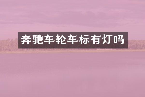 奔驰车轮车标有灯吗