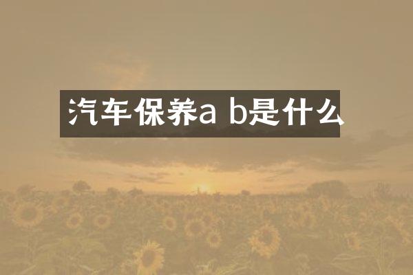 汽车保养a b是什么