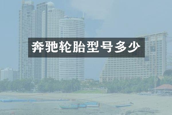 奔驰轮胎型号多少