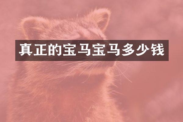 真正的宝马宝马多少钱
