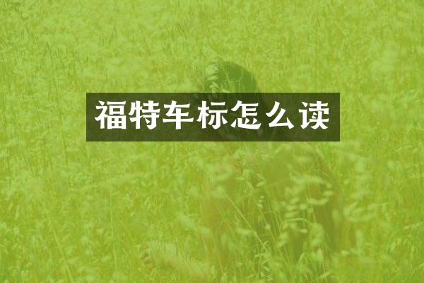 福特车标怎么读