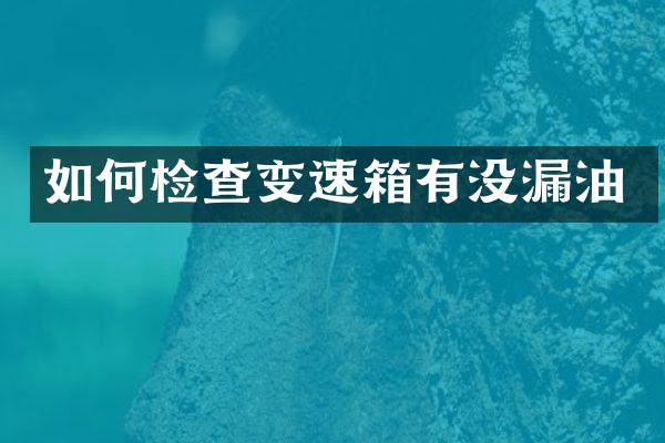 如何检查变速箱有没漏油