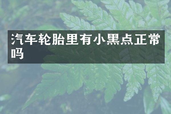 汽车轮胎里有小黑点正常吗