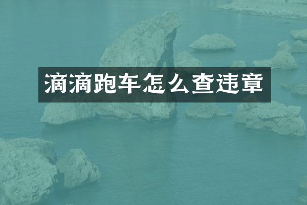 滴滴跑车怎么查违章