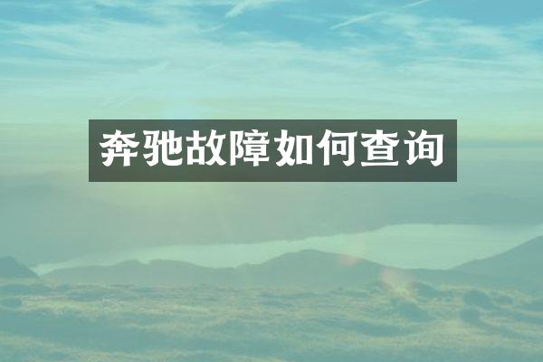 奔驰故障如何查询
