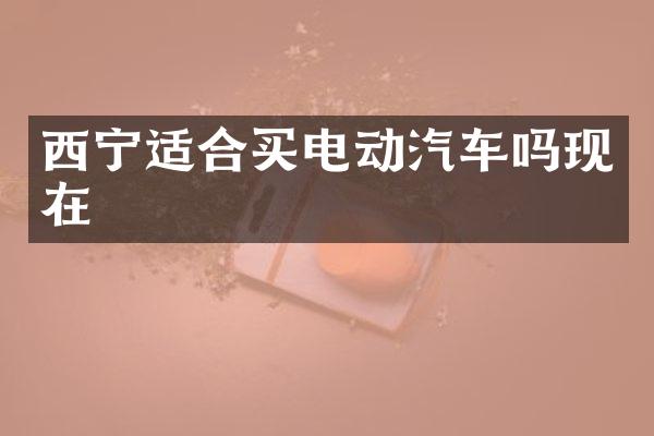 西宁适合买电动汽车吗现在