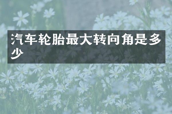 汽车轮胎最大转向角是多少