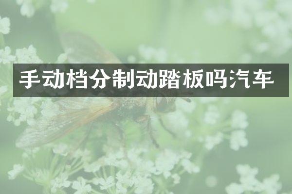手动档分制动踏板吗汽车