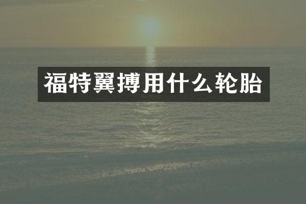 福特翼搏用什么轮胎