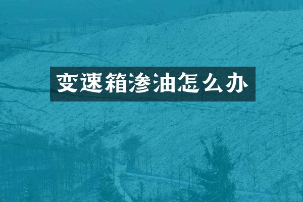 变速箱渗油怎么办
