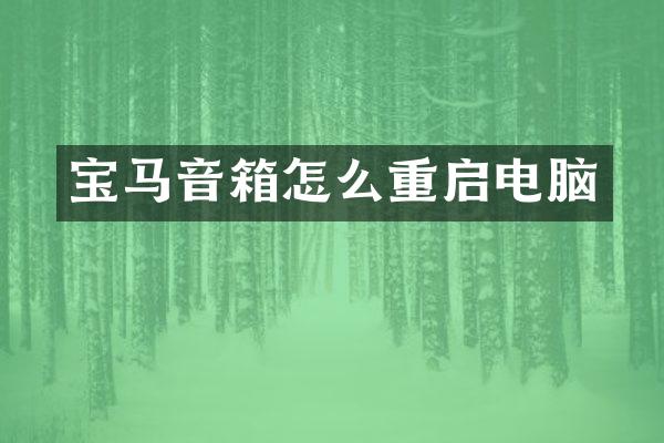 宝马音箱怎么重启电脑