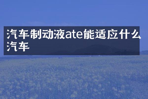 汽车制动液ate能适应什么汽车
