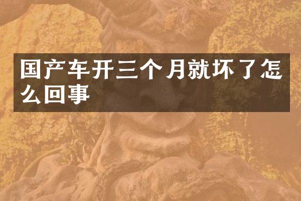 国产车开三个月就坏了怎么回事