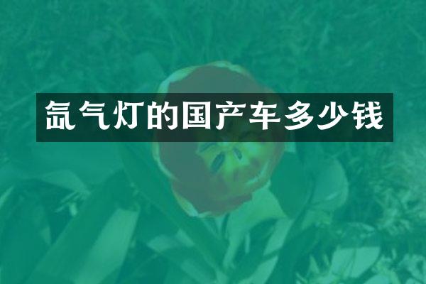 氙气灯的国产车多少钱