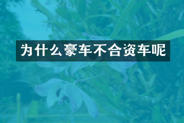 为什么豪车不合资车呢