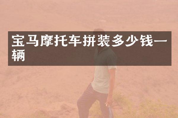 宝马摩托车拼装多少钱一辆