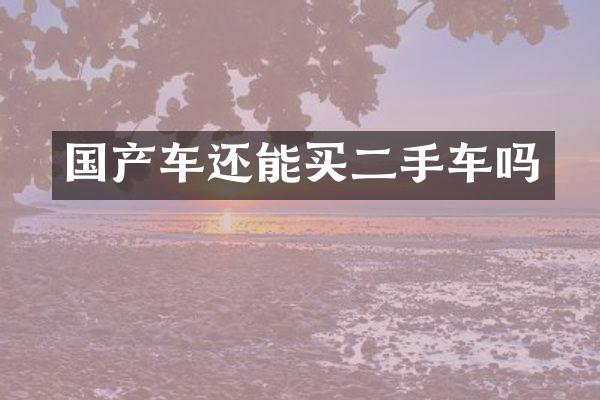 国产车还能买二手车吗