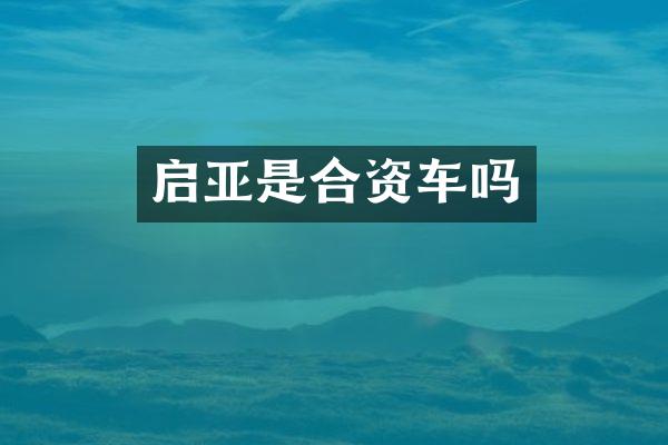 启亚是合资车吗