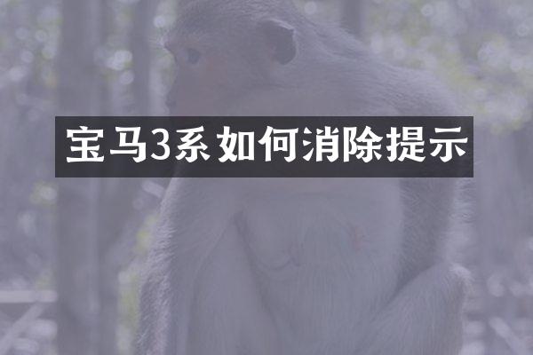 宝马3系如何消除提示