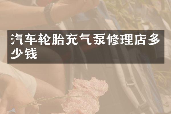 汽车轮胎充气泵修理店多少钱