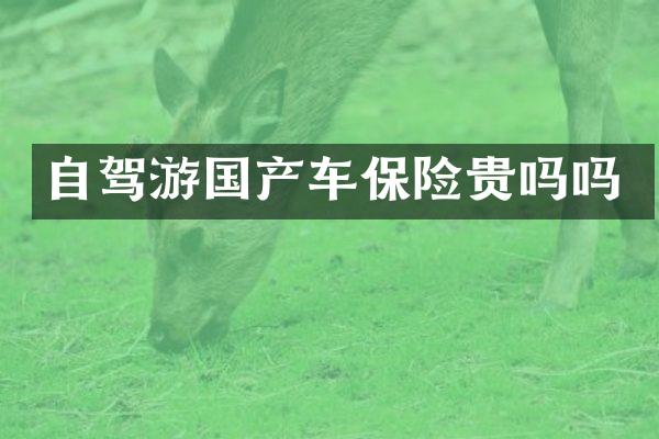 自驾游国产车保险贵吗吗