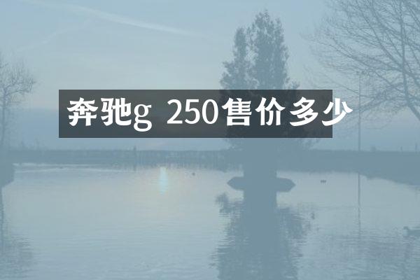 奔驰g 250售价多少